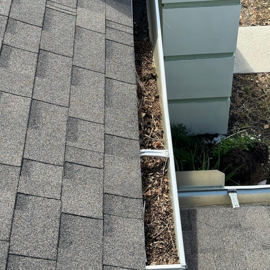 Gutter Cleaning