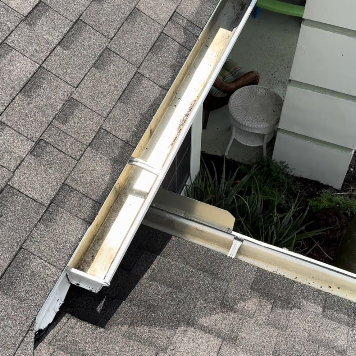 Gutter Cleaning